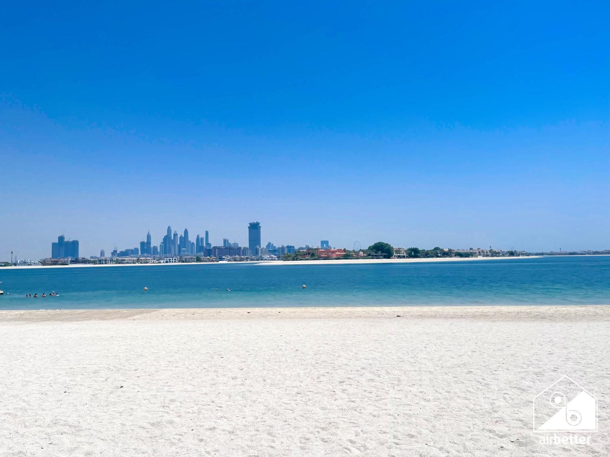 Seafront Serenity Palm Escape With Pool Access Appartement *